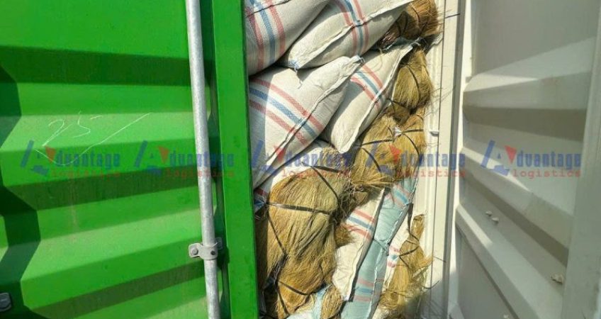 nhập khẩu bông đót khô